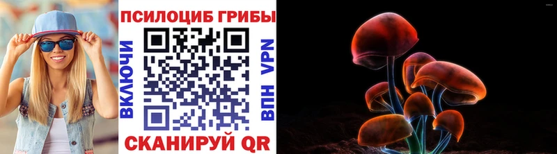 Псилоцибиновые грибы MAGIC MUSHROOMS Жуковский