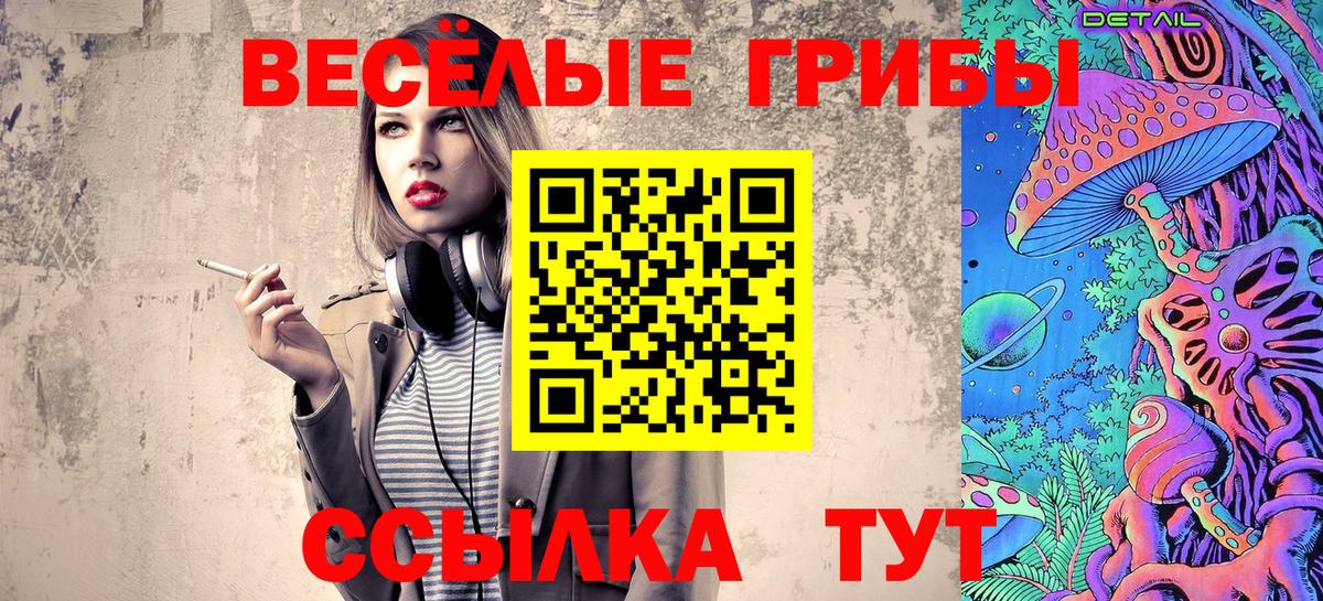 Жуковский  Псилоцибиновые грибы прущие грибы  Вход с VPN  цена   Галлюциногенные грибы Psilocybine cubensis 