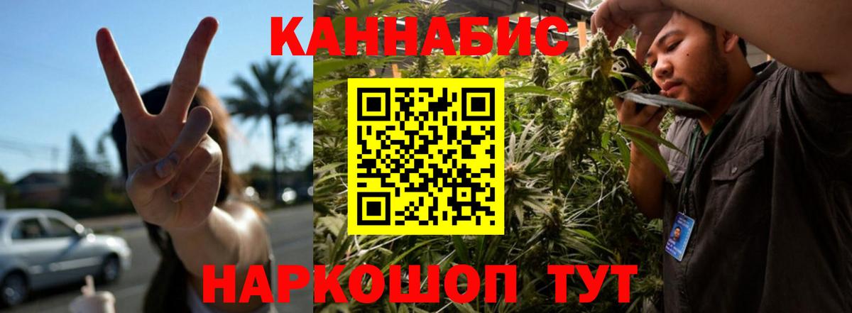 Канабис план Жуковский